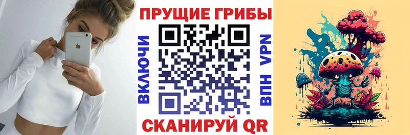 Галлюциногенные грибы Psilocybine cubensis  купить   Мыски 